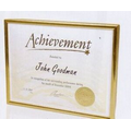 8.5x11 ID Gloss or Satin Gold Backload Aluminum Certificate Frame w/ Brushed Sides
